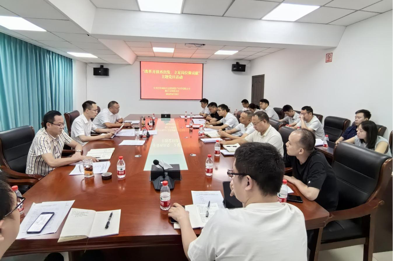 巴中兩山公司開展“改革開放再出發(fā)、立足崗位做貢獻”主題黨日活動